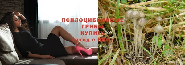 гидра Алзамай