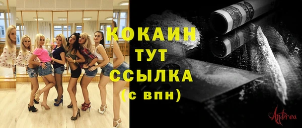 кокс Алексеевка